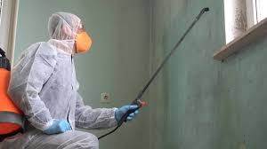 Mold Odor Removal Services in North Bay Shore, NY